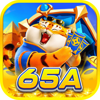 65a Gaming Experience